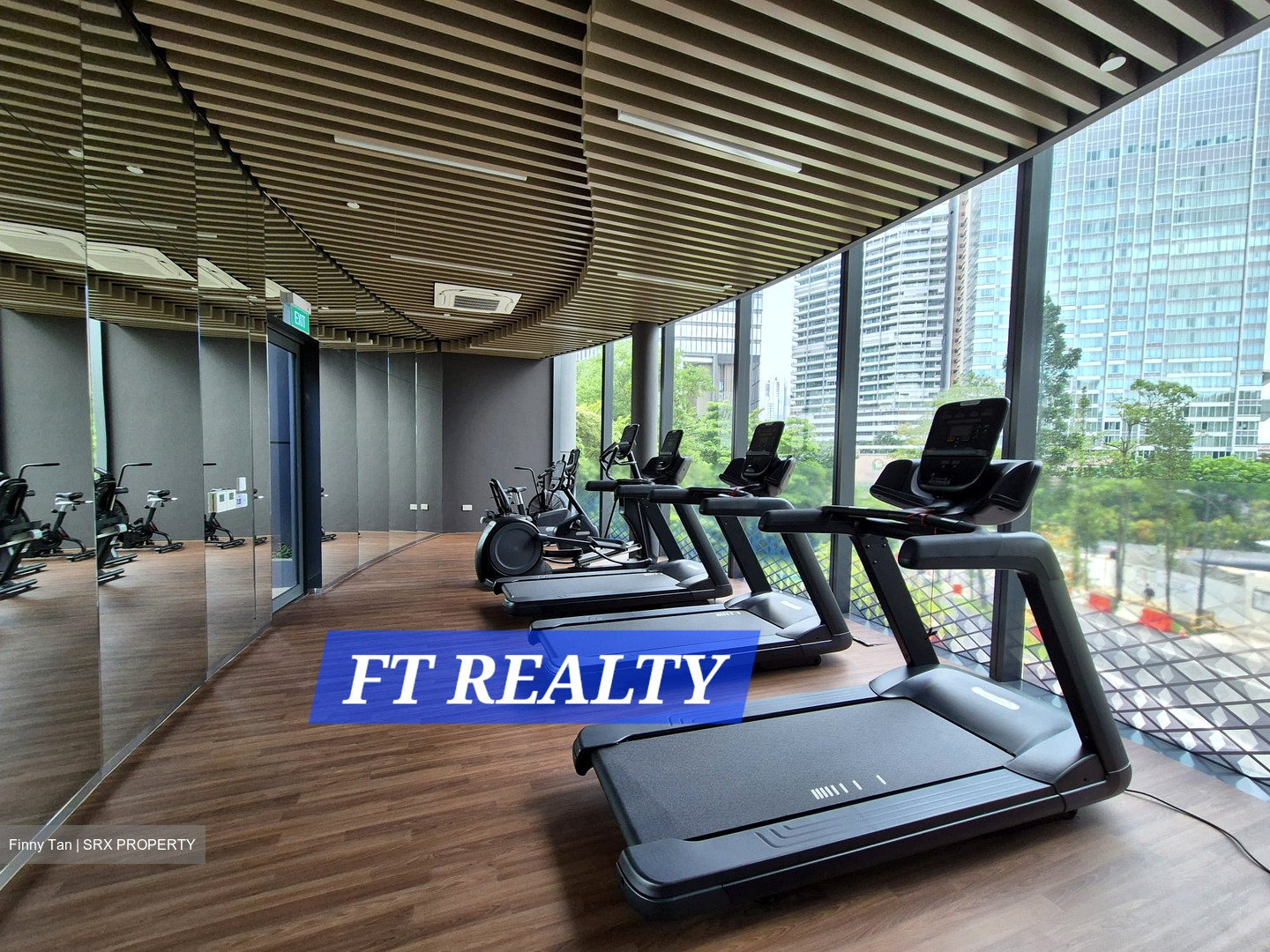 North Buona Vista Road (D5), Condominium #447487121